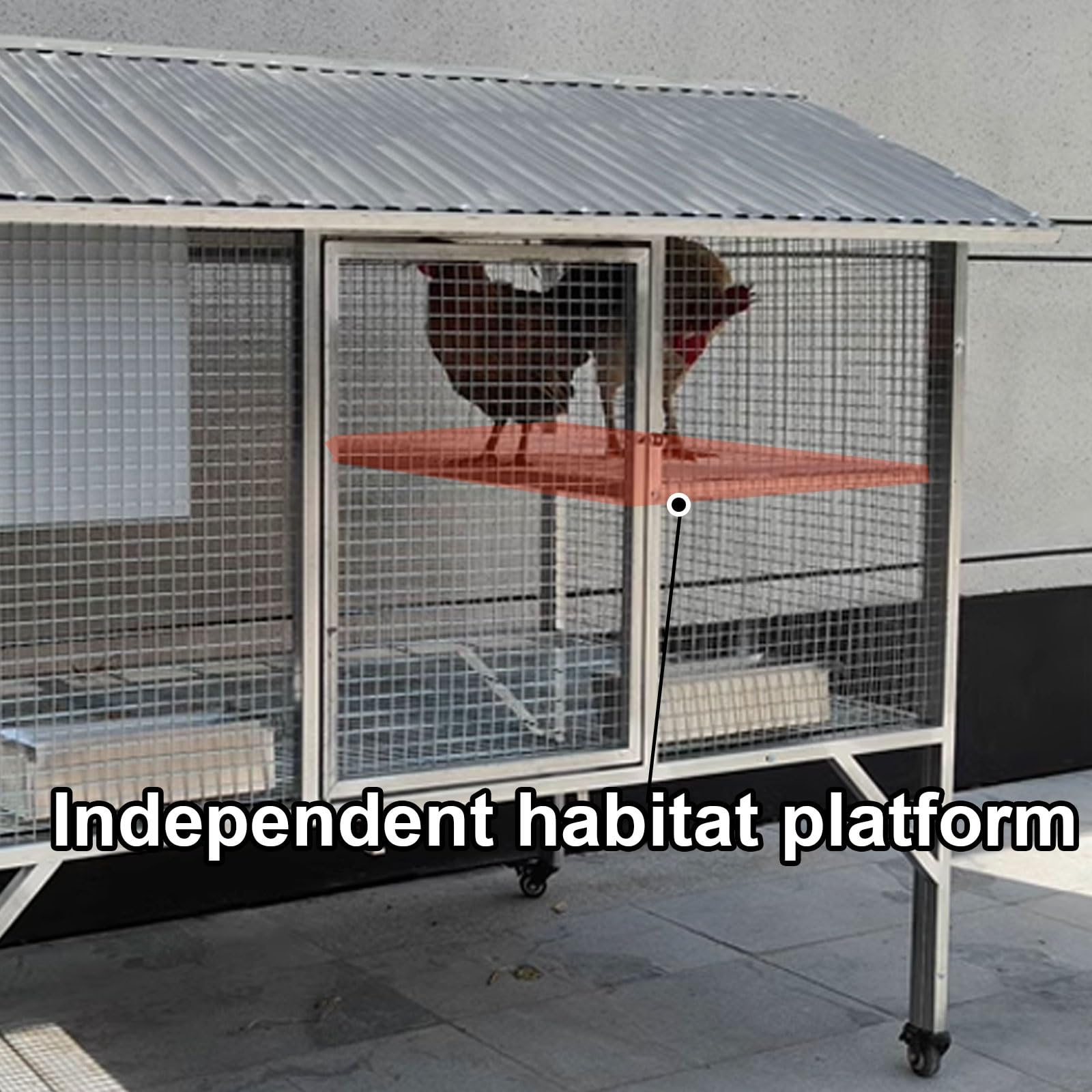 Casetta per Galline Ovaiole Realizzato in Tubo Zincato Ruota Universale Con Freno Nido per Galline Oche, Anatre, Conigli, Pollame Design Della Porta Rimovibile