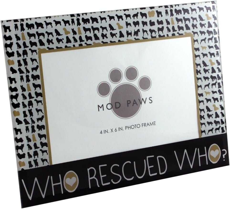 "Who Rescued Who Photo Frame