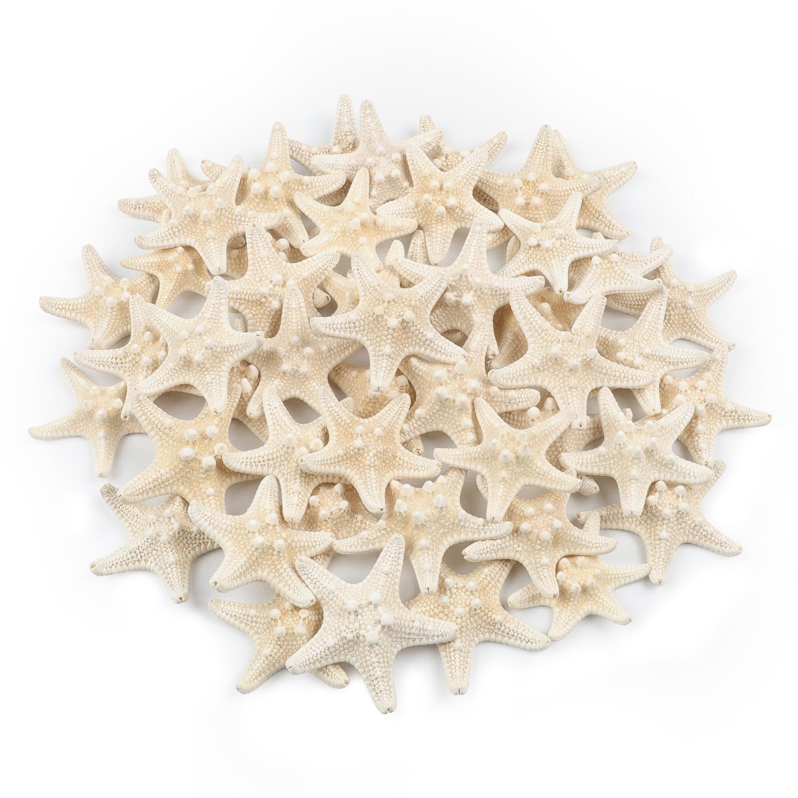 TaoQ C 48 PCS Starfish, Mini Starfish 1