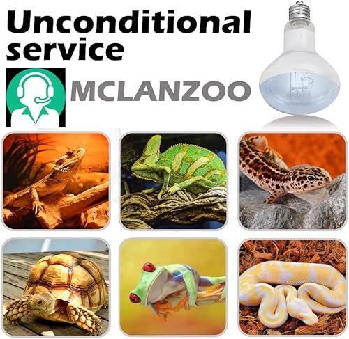 Miniatura 5 de 2 bombillas de luz diurna UVA + 2 bombillas de luz infrarroja para reptiles, dragón barbudo, lagarto, tortuga, pollo