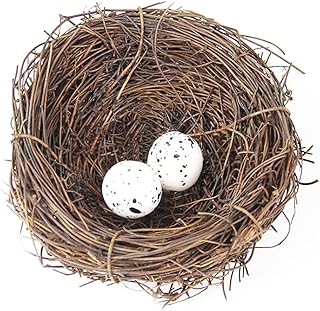 Bird Nest Artificial Bird Nest Bird House Garden Nature Crafts Artificial Bird Nest Vintage Bird Cage Creative for Easter Spring Decoration Optical Shop (10cm) product image