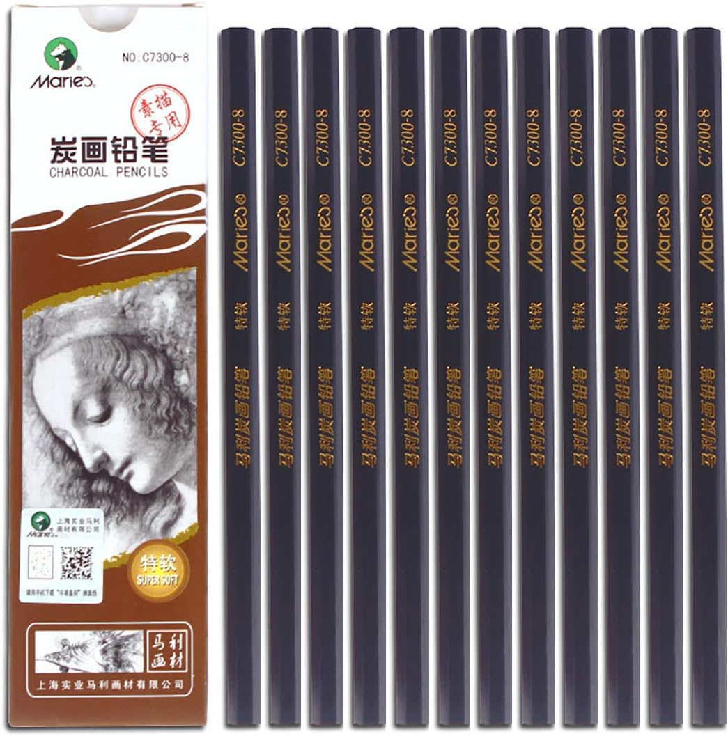 YYMIYUCarbon Painting Pencil Charcoal Drawing Sketch Pencils 12 Piece Super Soft