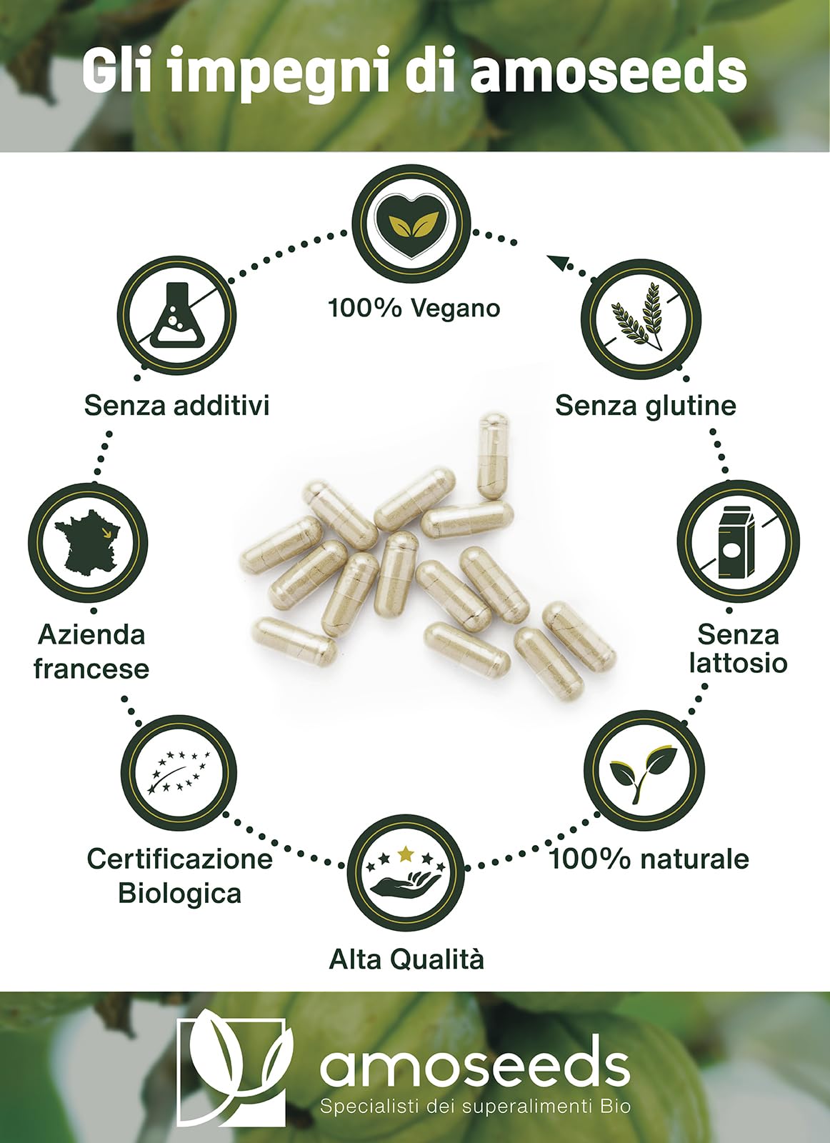 Garcinia Cambogia BIO | Rapida azione ed Efficiente | Alta concentrazione, 60% HCA | 2000mg / giorno | Sazietà | Qualità Superiore