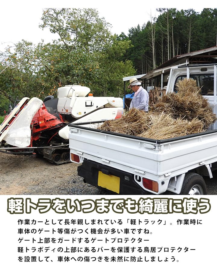 Amazon | キャリイ H14.5-H25.8/DA63T スズキ 対応 鳥居プロテクター