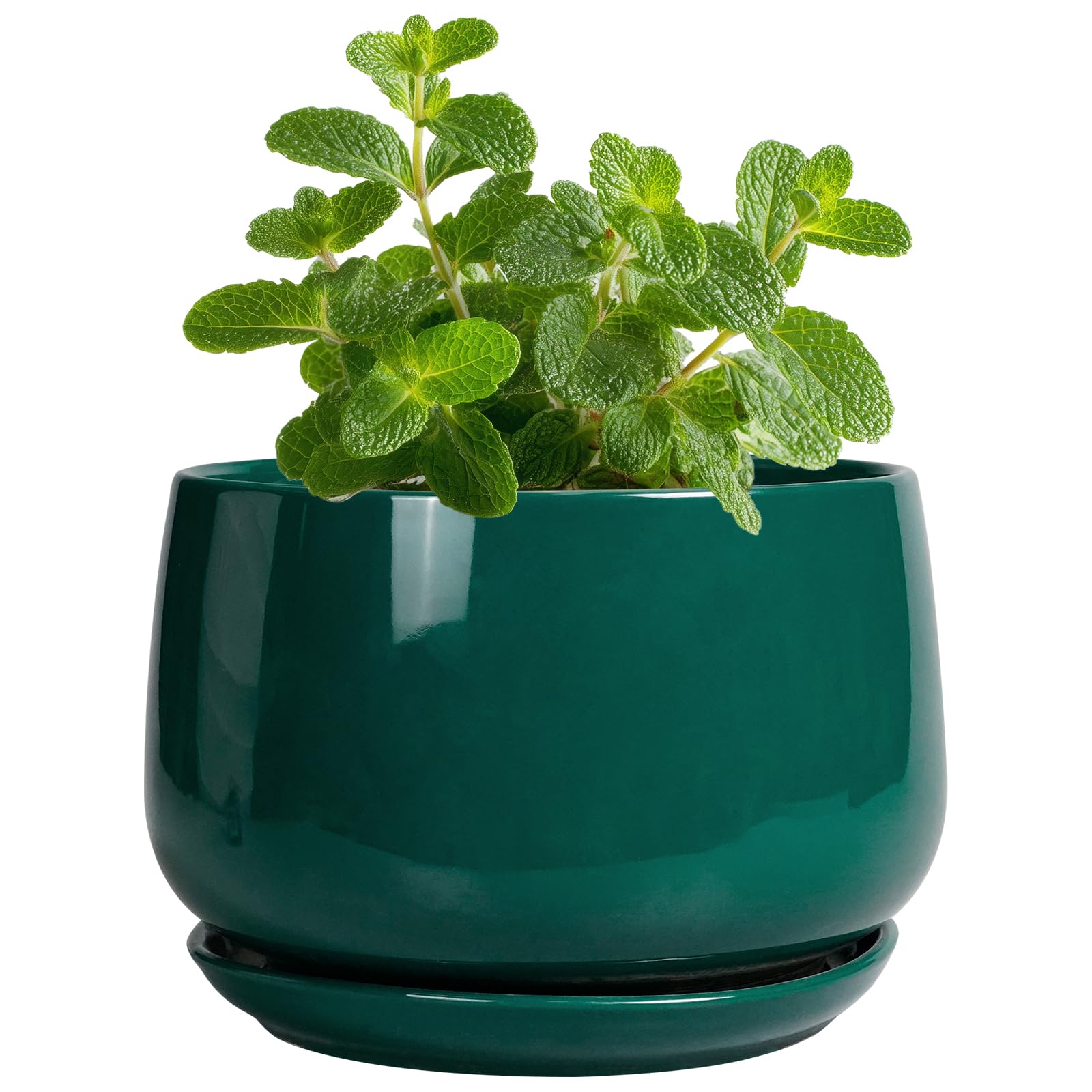 G EPGardening 4 inch Plant Pots Green