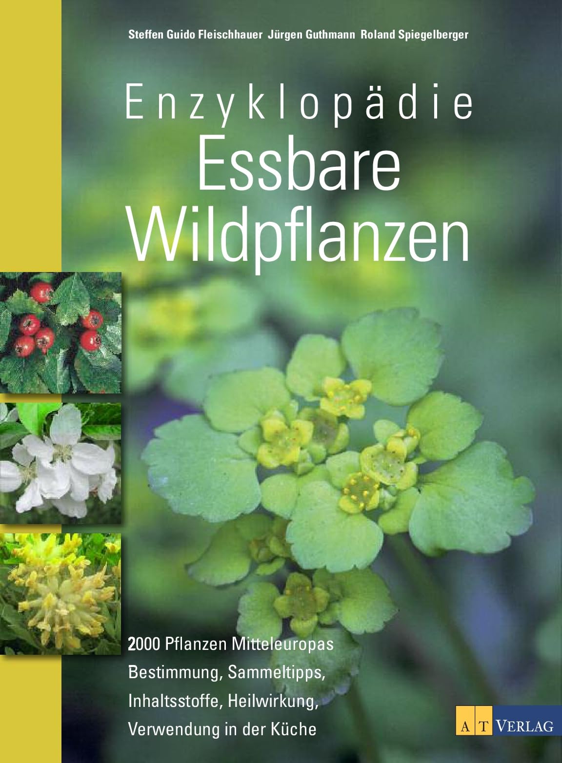Enzyklopädie Essbare Wildpflanzen: 2000 Pflanzen Mitteleuropas. Bestimmung nach Blattformen, Sammeltipps, Inhaltsstoffe, Heilwirkung, Giftpflanzen-Extrateil. Vollständig aktualisiertes Standardwerk