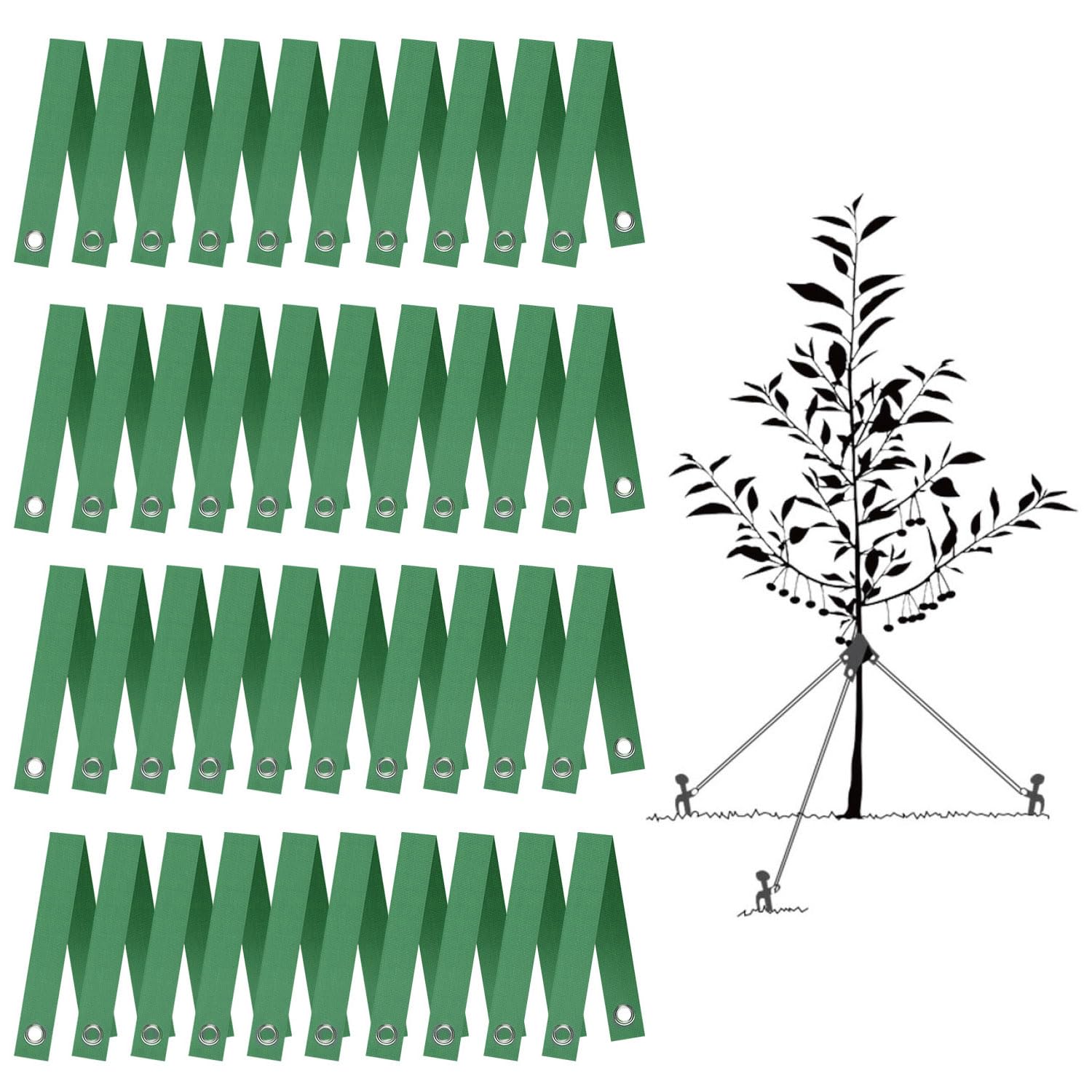 Correas de árbol para estacar, 40 correas de soporte para árboles recién plantados y protección contra huracanes, lazos para enderezar árboles