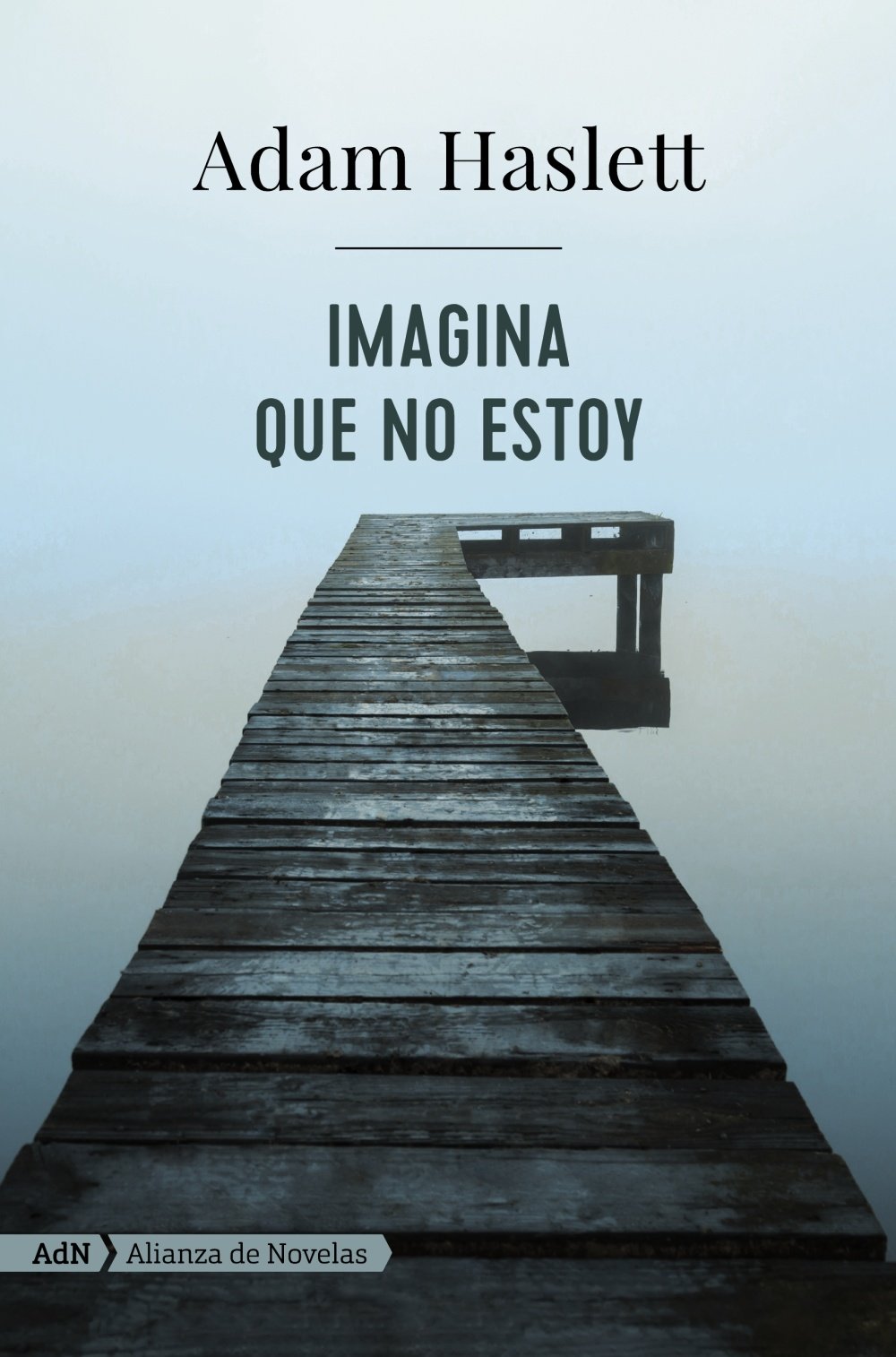 Imagina Que No Estoy (AdN Alianza de Novelas)