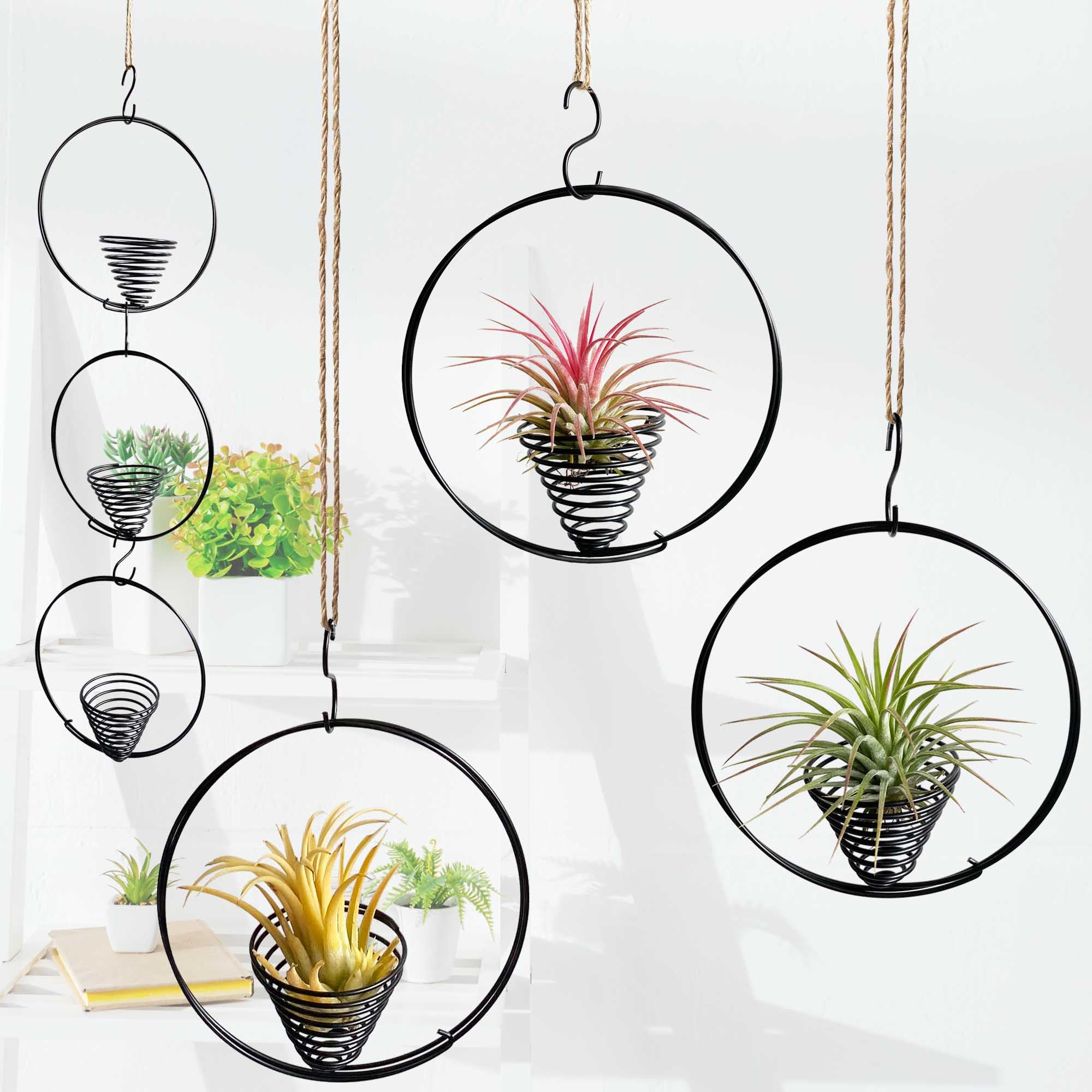 3 Pcs 5.5" Air Plant Hangers for Ceiling Windows Tillandsia Succulent