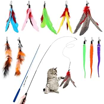 MEYDLL 10PCS Cat Feather Toys, Interactive Cat Toys With Feather Cat