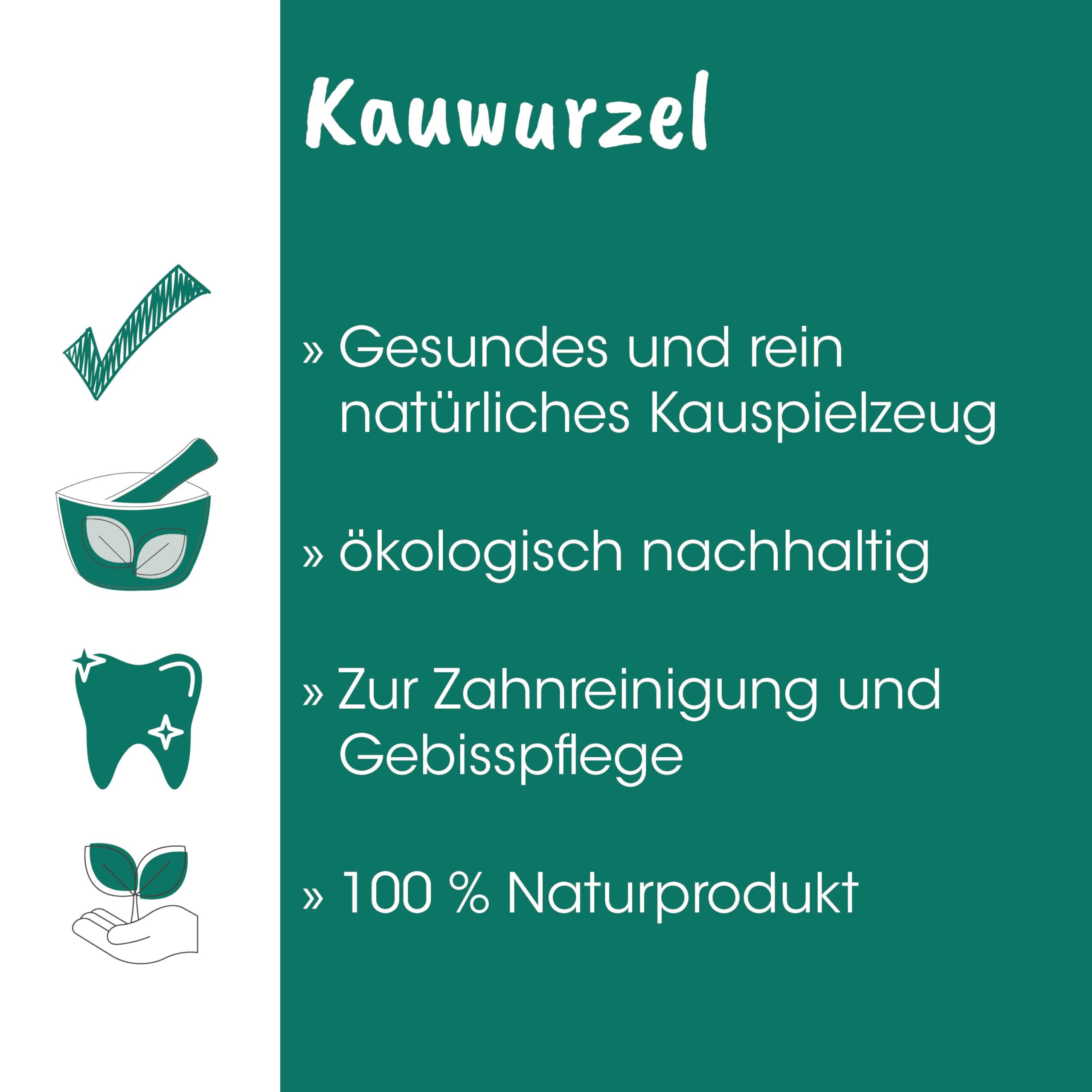 cdVet Naturprodukte Kauwurzel L 5er Pack - Natürlicher Kauspaß für Hunde - Zahnpflege - Ohne Fett und Allergene - Nachhaltiges Hundespielzeug