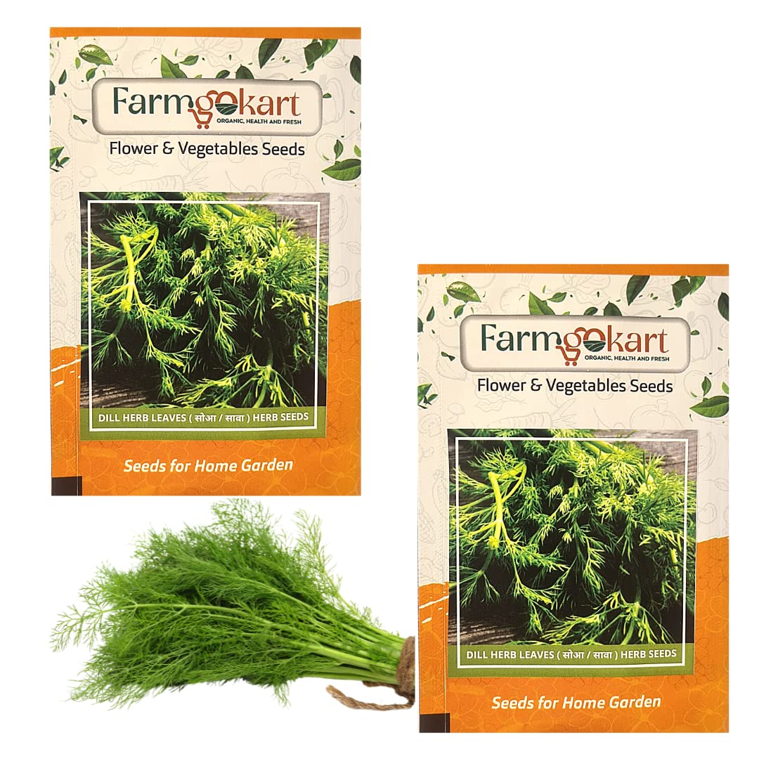 See full amazon price history chart for 2 Packets of Dill -Suwa Herb Seeds For Home Terrace And Kitchen Indoor Outdoor Gardening Planting Farming | 400 SEEDS PER PACKET | 2 Packets of Dill -Suwa Herb Seeds For Home Terrace And Kitchen Indoor Outdoor Gardening Planting Farming | 400 SEEDS PER PACKET | (B0BQDRP6P4) Amazon Price History, Amazon Price Tracker