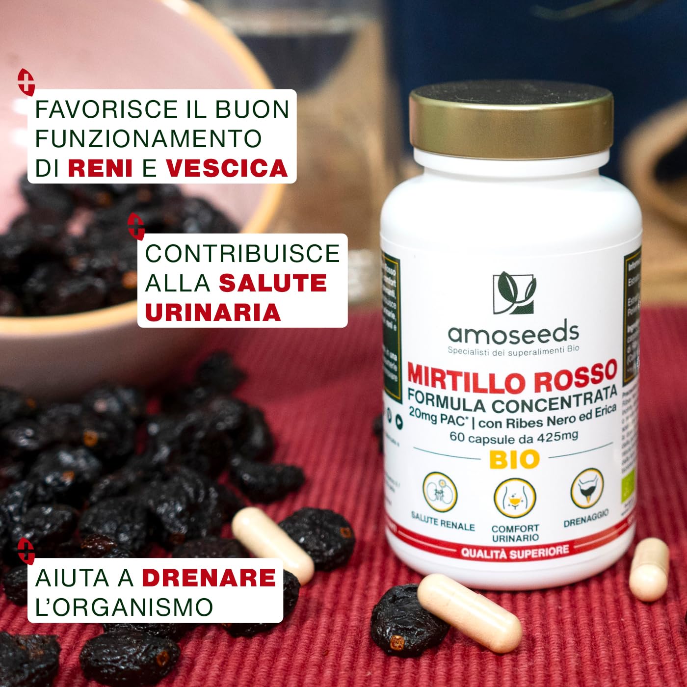 Mirtillo Rosso BIO | 5% PAC, Estratto ad Alta Concentrazione | Comfort Urinario, Reni, Vescica | Formula con Ribes Nero e Erica Bio | 60 capsule | Qualità Superiore