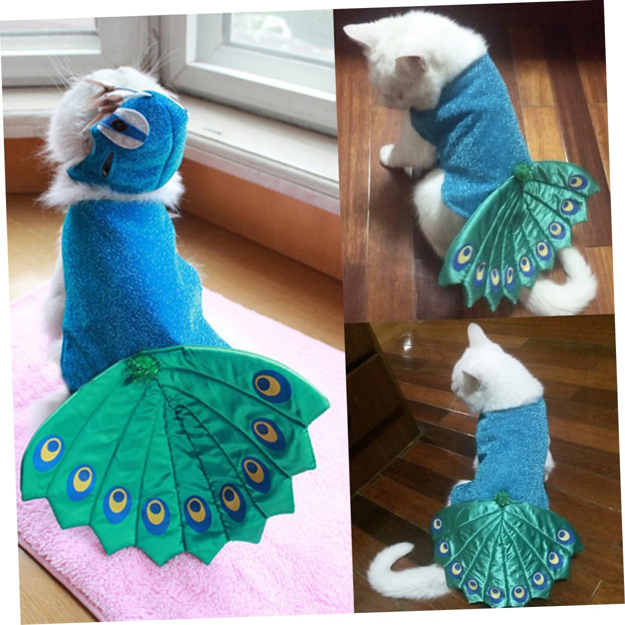 BESPORTBLE 2 Pezzi Di Abbigliamento Per Animali Domestici Per Gatti Cani Animali Domestici Costume Aarel Design Divertente Per Occasioni Speciali