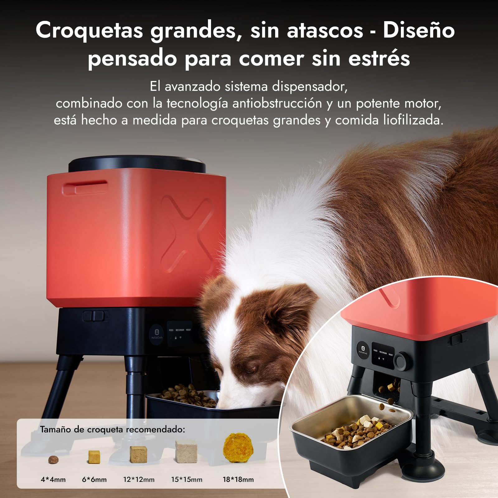 Molly&Cody Comedero Automático para Mascotas, 14 litros de Capacidad, Apto para Perros Grandes, Volumen de Alimentación Ajustable, Fácil Manejo, con Bol de Acero Inoxidable