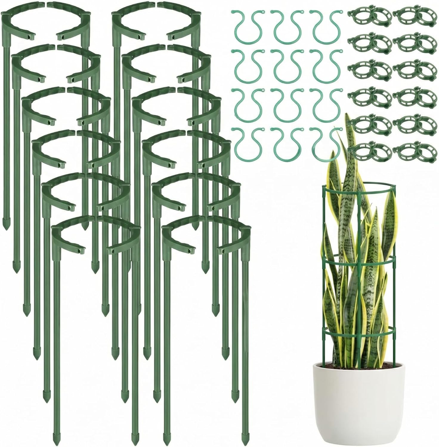 24 Pack Plants Support Stakes Half Round Plant Stakes with 12 Vine Clips and 12 Gourd Shaped Clips for Indoor Plants Plant Cages for Tomato Monstera Peony Hydrangea Climbing Vegetables