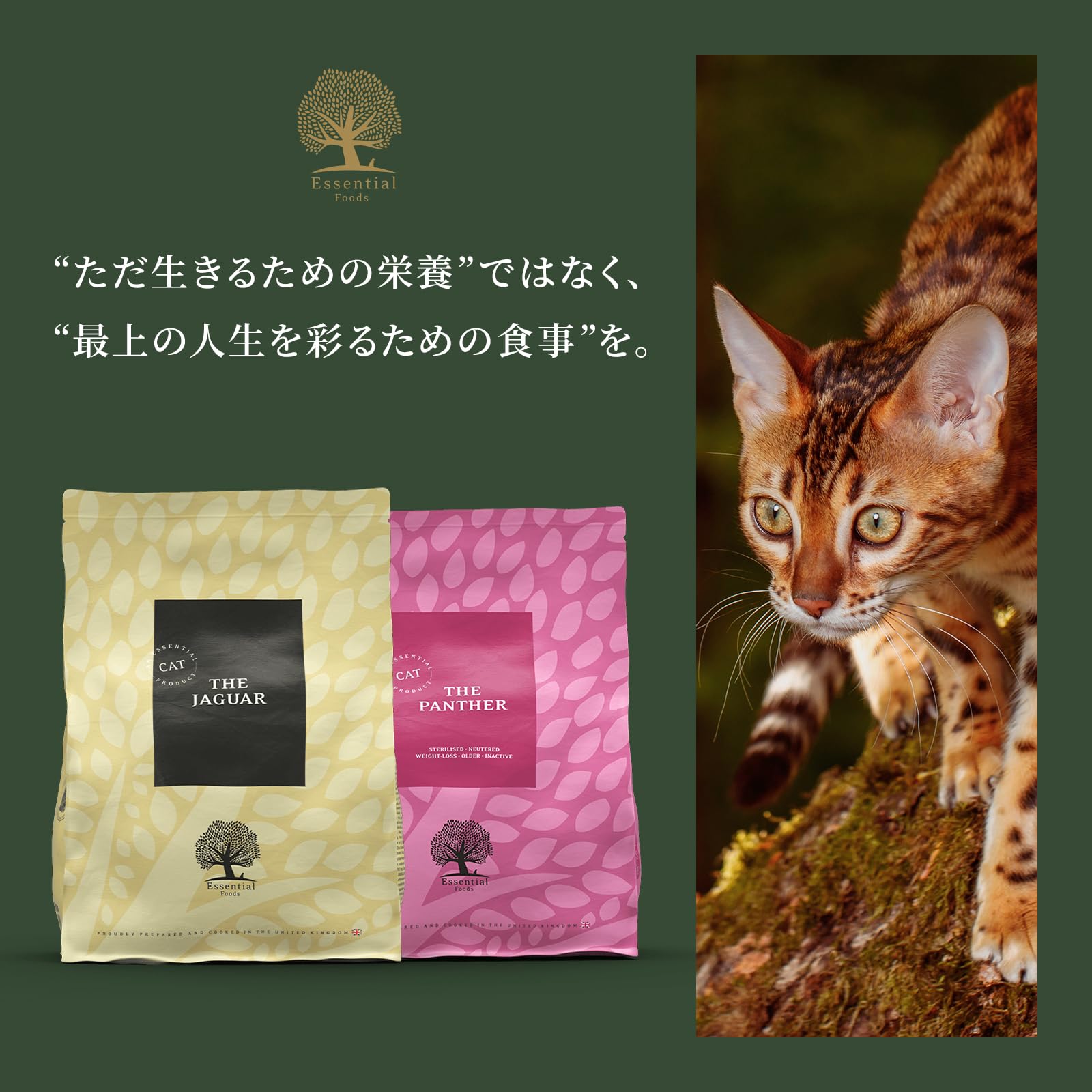 JAGUAR 猫用ドライフード 2袋まとめ売りJAGUAR 猫用ドライフード 2袋