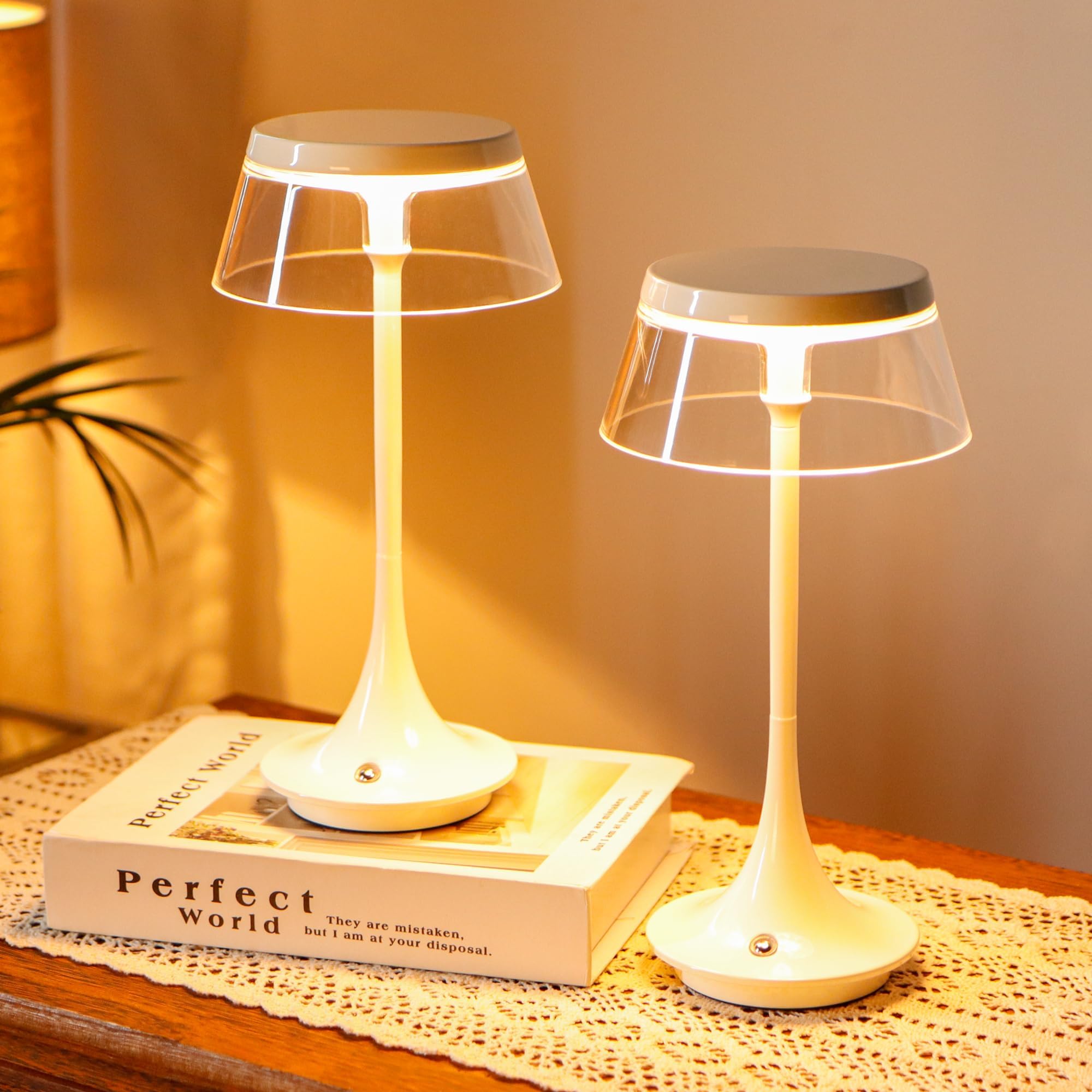 JHY DESIGNAluminum Bedside Table Lamp 27cm H 3-Color Light Dimmable Nightstand Nightlight with Lampshade & Touch Control Function for Bedroom Living Room Indoors Outdoors (Set of 2,Type-C Charging)
