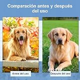 Ver la foto 7