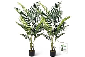 Pre-Potted Aveyas 5ft Artificial Kentia Palm Set (Set of 2)