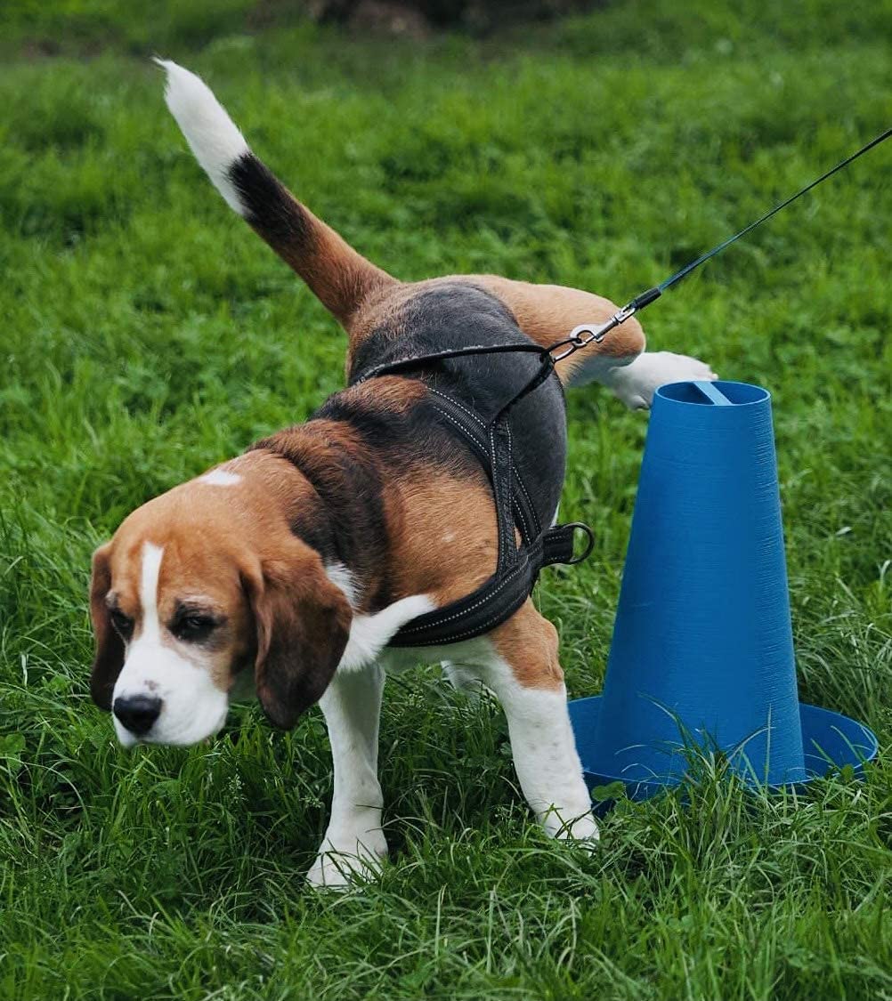 PIPPI Cono Cani WC Vasino CaneToilette Lettiera Traversine Tappetini Cane Colonna Dog Orinatoio Pisciatoio Maschi Accessori Nuova Generazione BLU DA 3