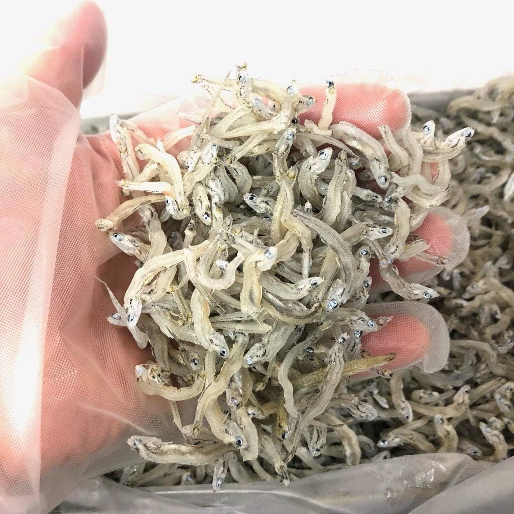 数量は多 高知の干物 ちりめんじゃこ かちり ご家庭サイズ250g Materialworldblog Com