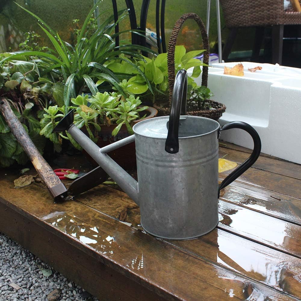 Cesun Metal Watering Can 1 Gallon for Outdoors Gardening, Galvanized Steel Watering Pot with Removable Spray Spout, Movable Upper Handle, Vintage Zinc