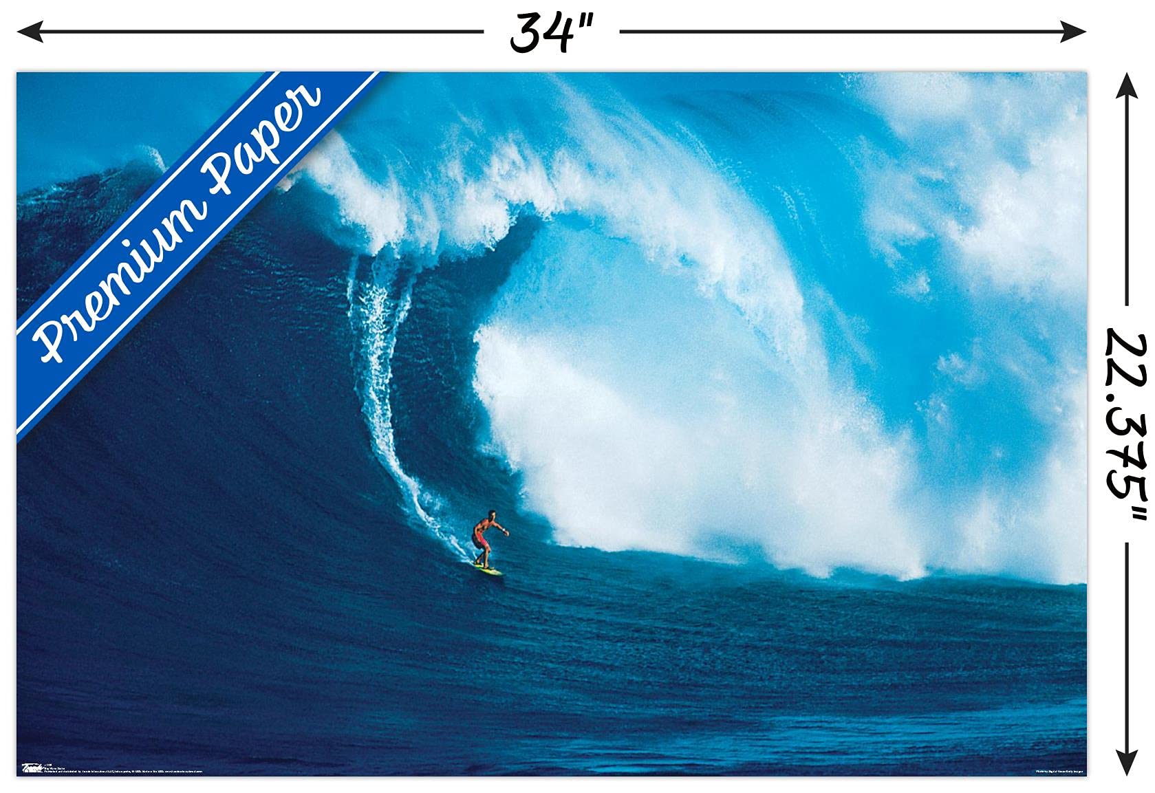 Amazon.com: Trends International Big Wave Surfer Wall Poster