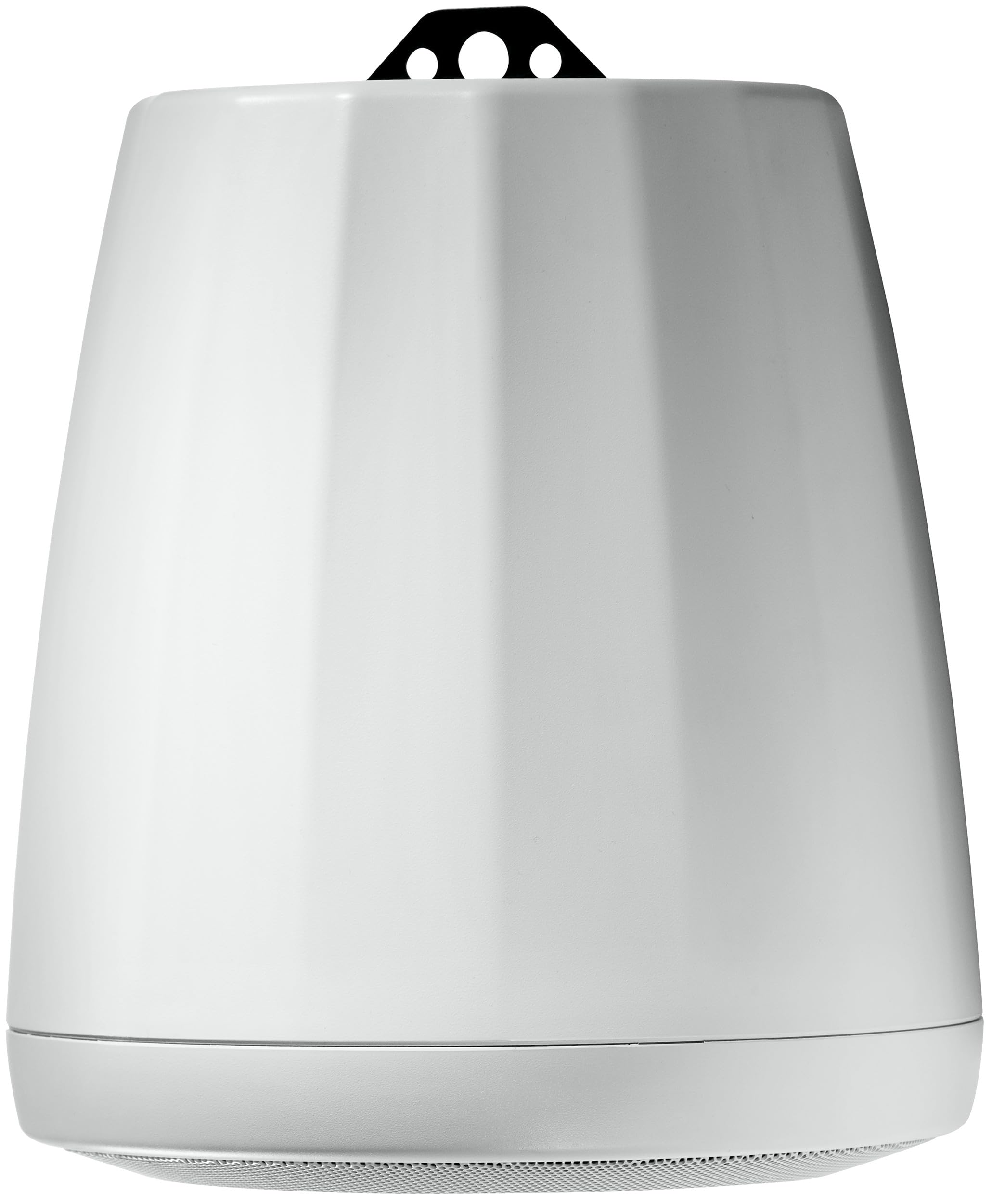 Amazon.com: JBL Profesional C65P/T-WH - Altavoz colgante compacto
