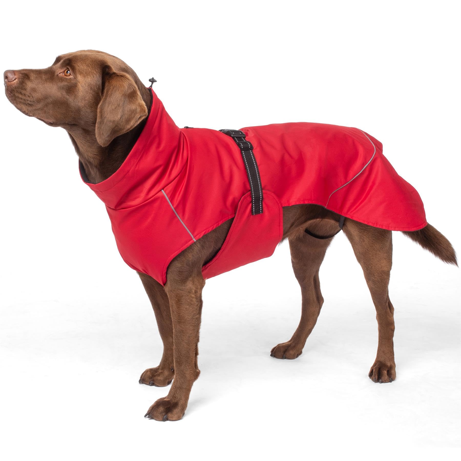Bunty XXL Waterproof Dog Coat - Adjustable Fleece Lined Jacket with Reflective Piping | Harness Hole | Dog Raincoats Waterproof for All Breeds | XXL, 55cm, Red