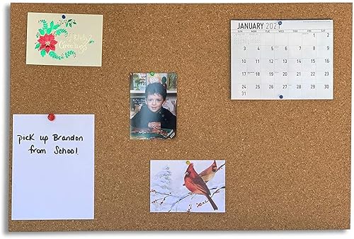 Miniatura 17 de Manton Cork Hoja de corcho de 24 x 36 x 1/2 pulgadas de grosor con tiras adhesivas, tableros de anuncios de corcho 100% natural y sostenible.