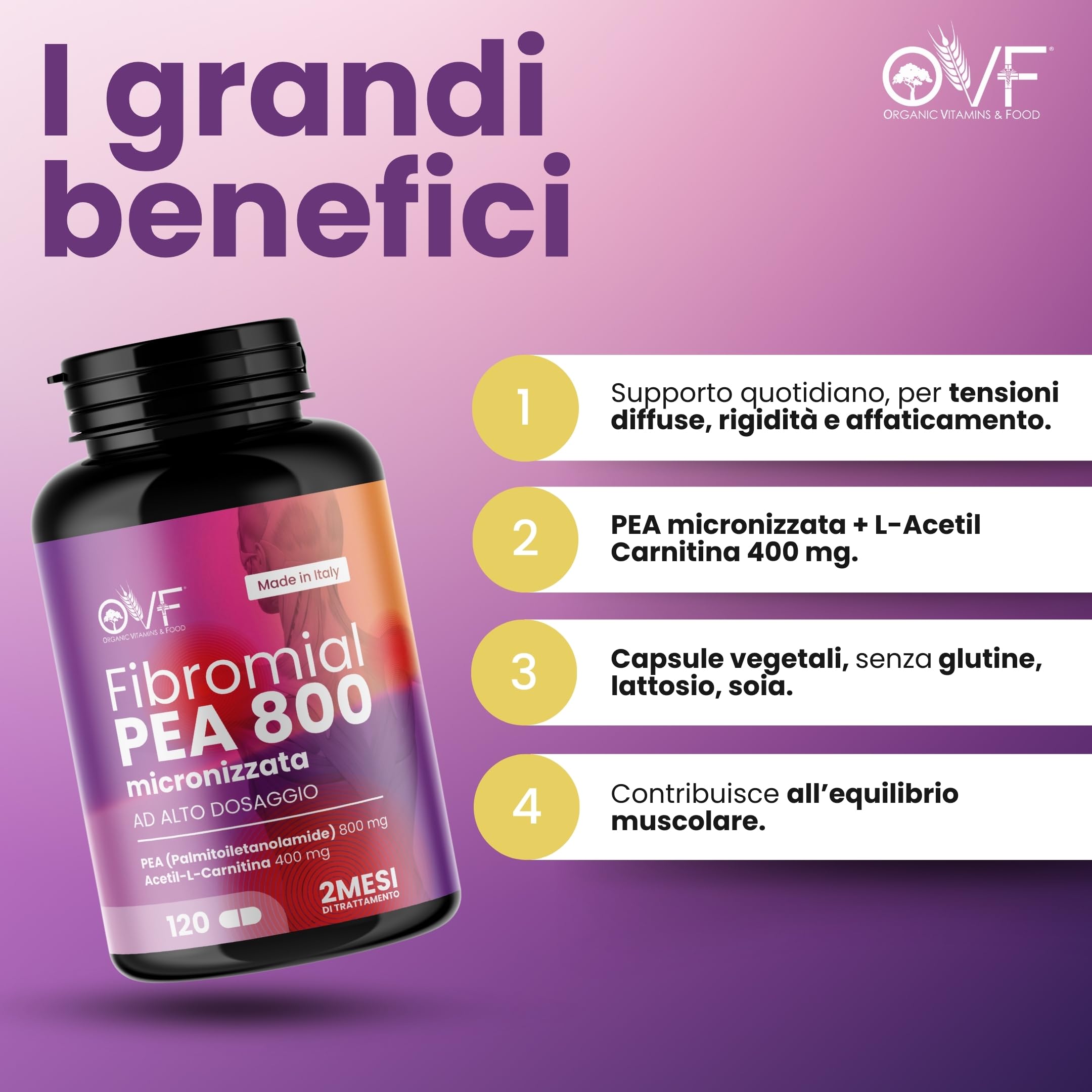 OVF Fibromial PEA 800 120cps Integratore Naturale 100% con Palmitoiletanolamide 800 L Acetil Carnitina 400 Senza Eccipienti, Supporto al Benessere di Nervi e Muscoli per Disturbi Diffusi Made In Italy