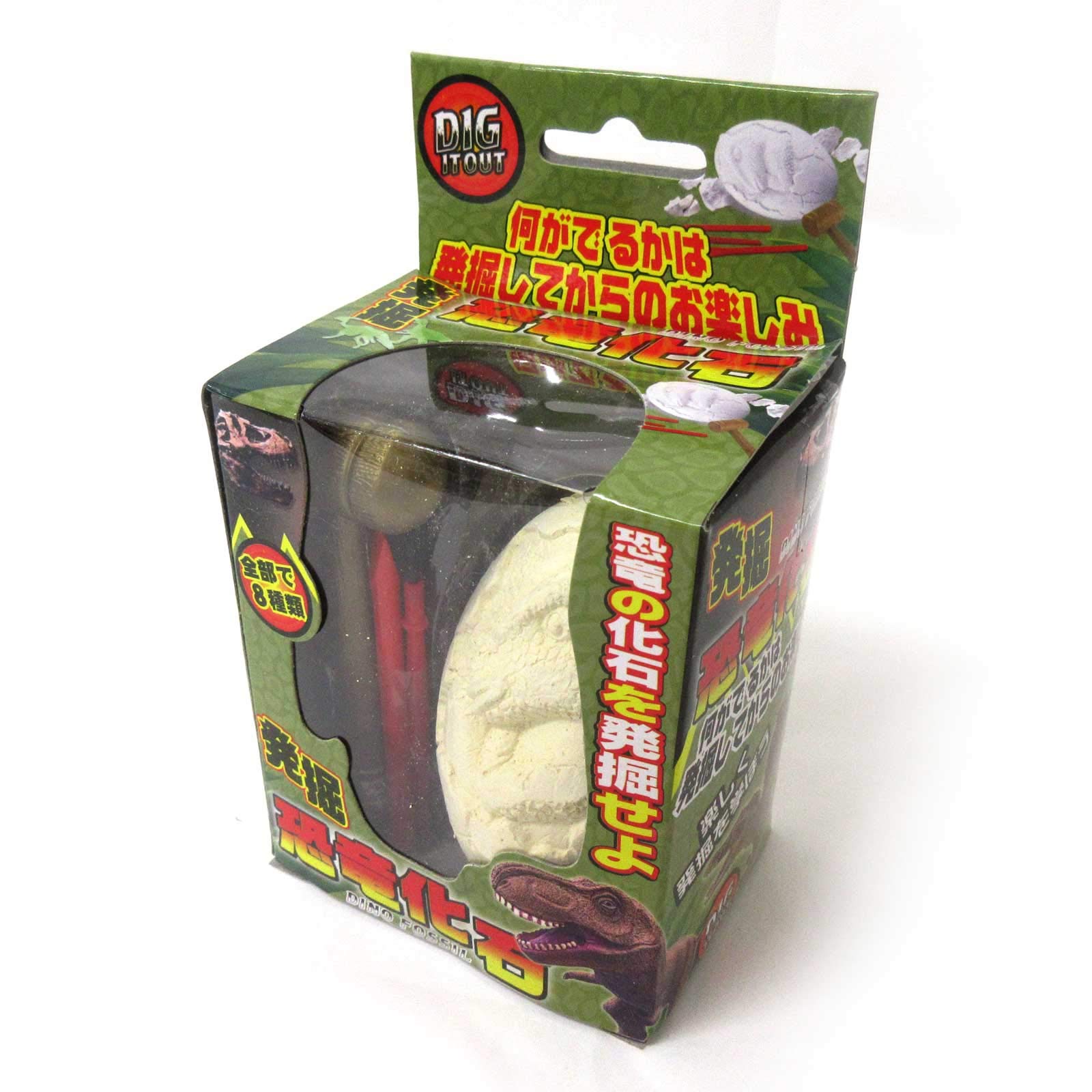 化石　D-3 化石 D-3 51mi3OJLSSL._UF894,1000_QL80_.jpg