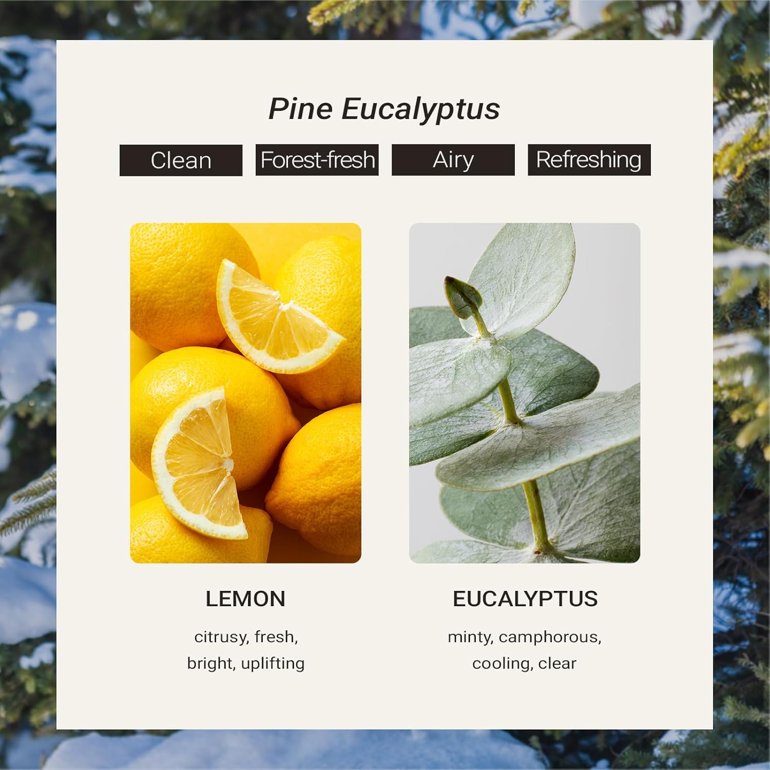 JCLOUD Pine Eucalyptus Hotel Diffuser Oil – Lemon, Eucalyptus & Cedar - Hotel Essential Oil Luxury Long Lasting Aromatherapy Fragrance in Glass Bottle, 100mL