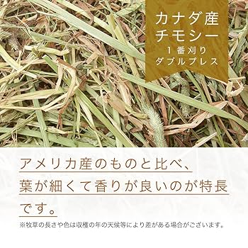 Amazon | カナダ産チモシー 1番刈 ダブルプレス（チャック袋