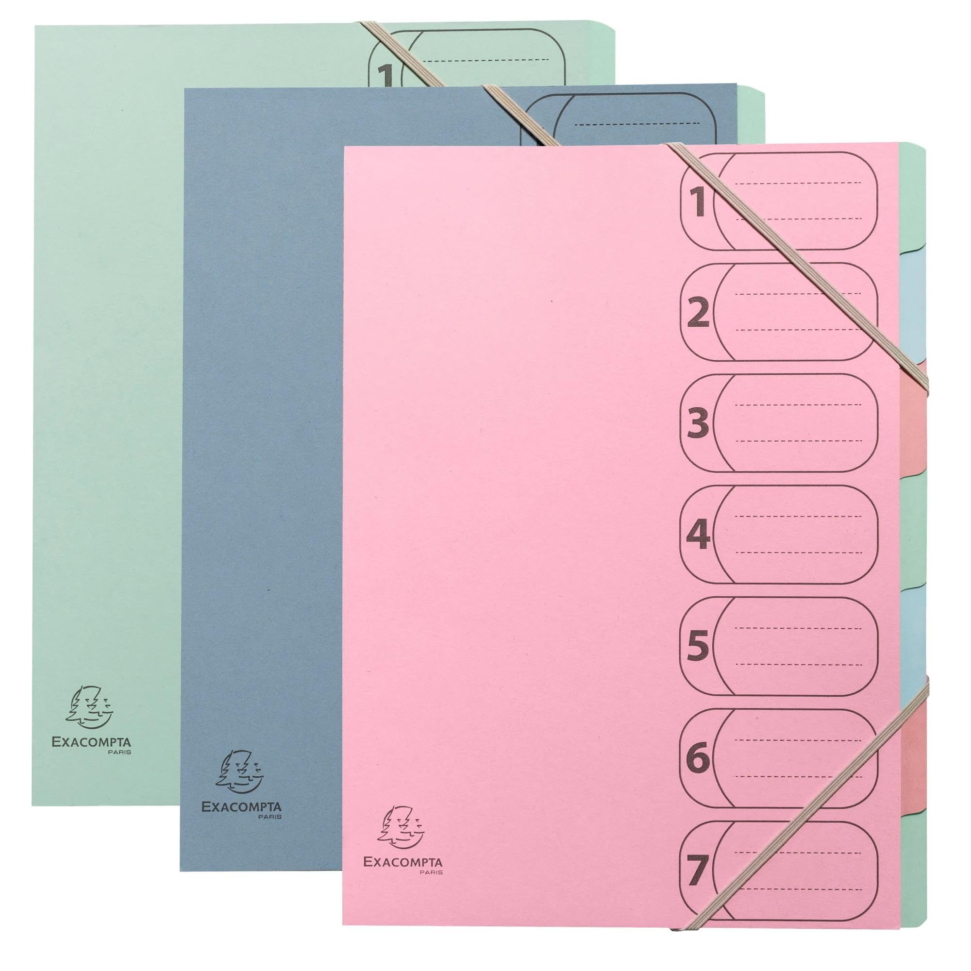Exacompta - Réf. 56239E - Carton de 8 trieurs HARMONIKA Autentik - avec élastiques et fenêtres imprimées - dos extensible - couverture en cart recyclée - 7 compartiments - A4 - couleurs assorties