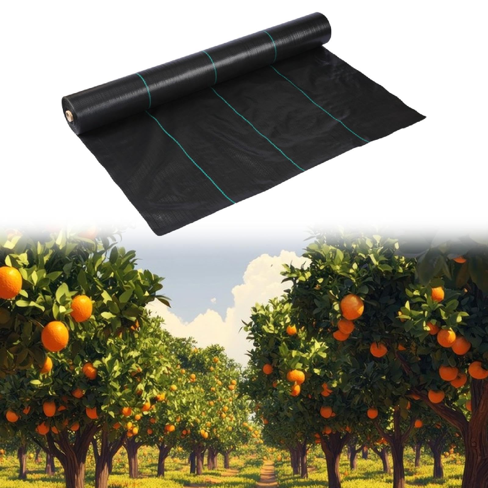 Tela Anti Tela de Protección Solar contra Malezas Estera Geotextil de Paño para Bloqueo de Malezas Material PP con, 2x100m