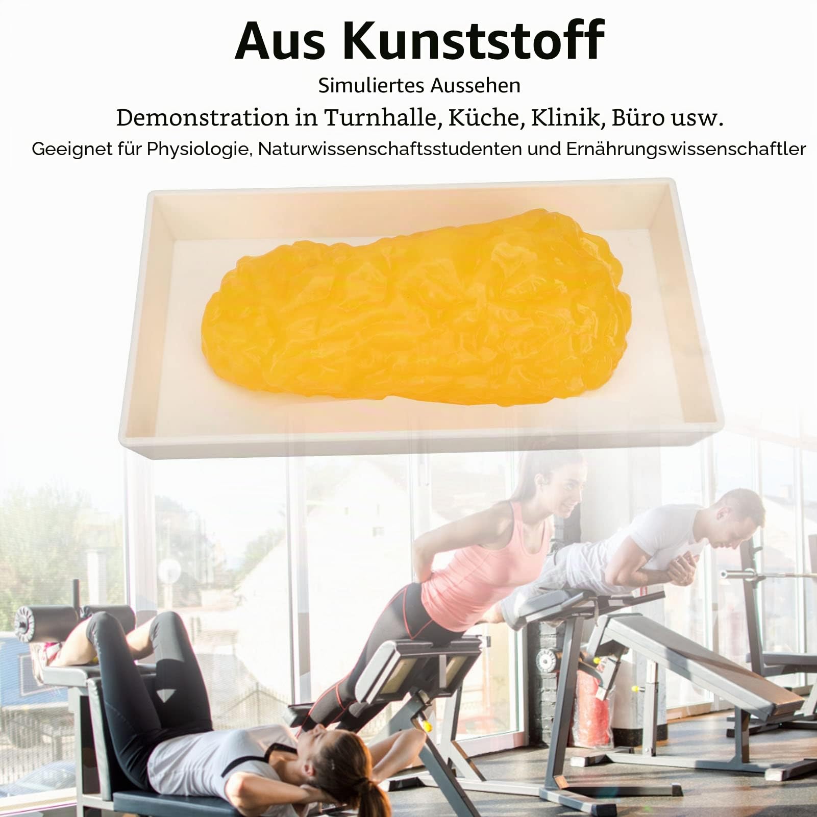 Focket Nachbildung des Menschlichen Körperfetts, Verbesserter Kunststoff Menschliches Körperfettmodell mit Display-Basis, 1 Pfund Fettreplik, Menschliches Fett Anatomisches Modell