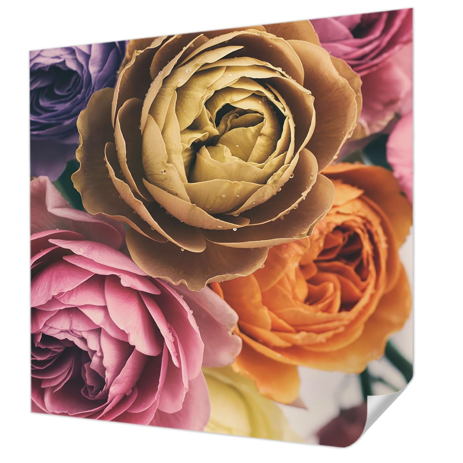 Papier peint autocollant de haute qualité 250x250 cm pour décoration intérieure