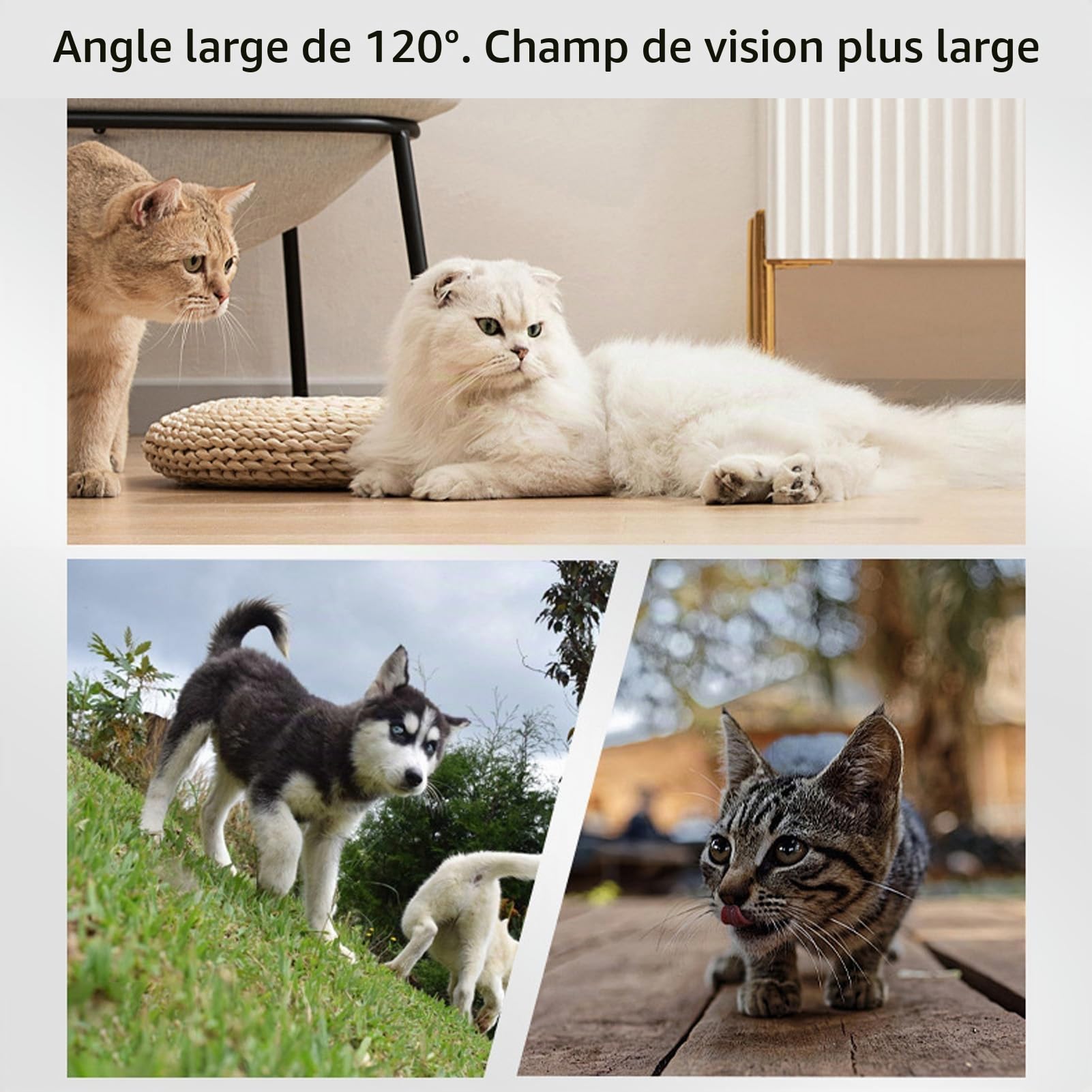 Fabater Caméra pour Collier de Chat, Collier de Suivi de Chien HD 1080P, Mini Caméra d'action pour Enregistrements Vidéo Intérieur/extérieur, Pas de WiFi Nécessaire (White)