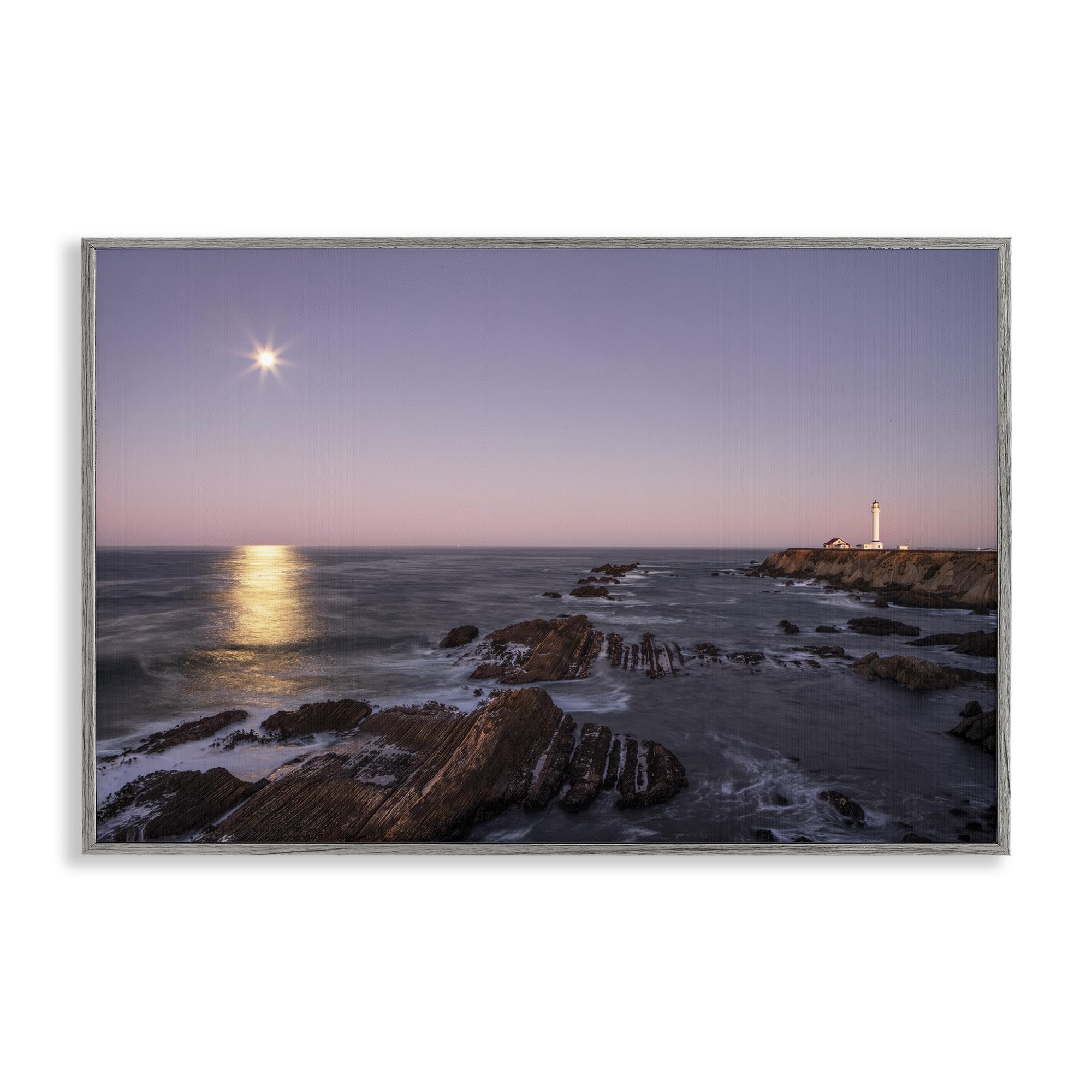Stupell Industries 'Moon Arena Coastline', Framed Giclee Art, Gray, 30 x 20 Inches, Easy to Hang and Sturdy, Made in USA, by Shelley Carlisle
