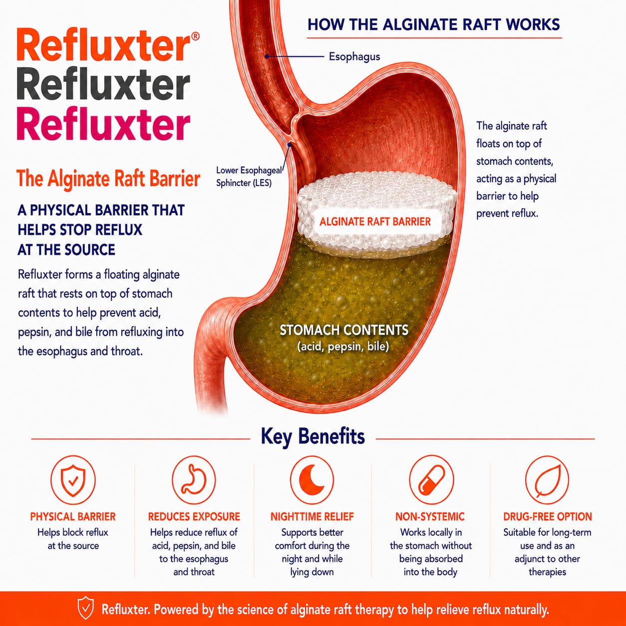 Refluxter Sodium Alginate Capsules 1000+ mg for Acid Reflux LPR & GERD — Amazon image 3