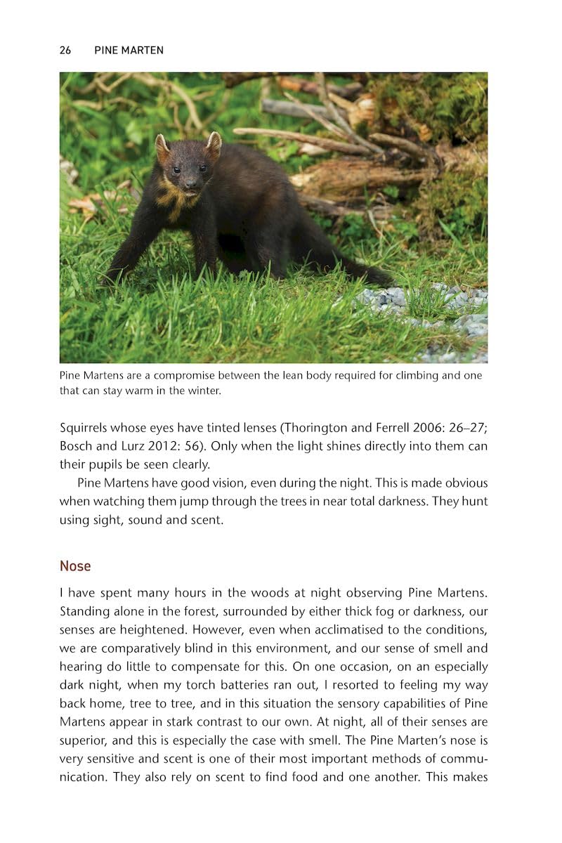 Pine Marten: The Secret Life of Martes martes (Pelagic Monographs)