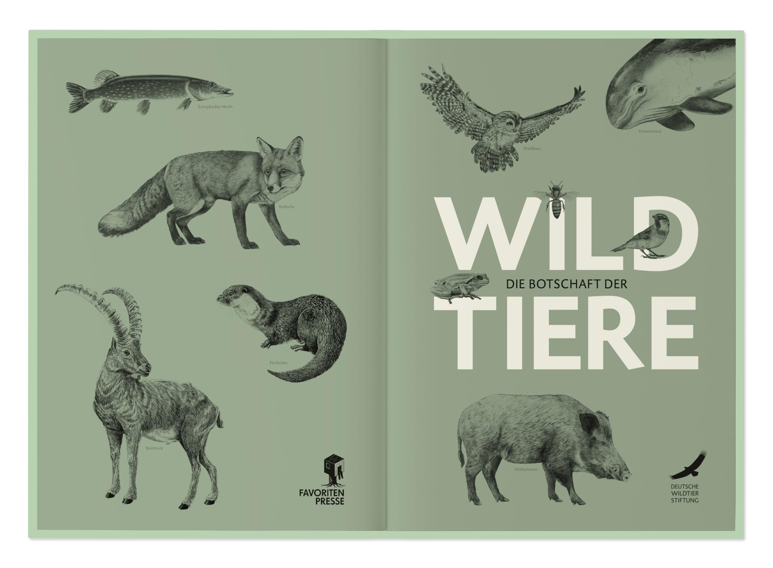 Die Botschaft der Wildtiere: Lebensweisen und Lebenswelten unserer heimischen Wildtiere
