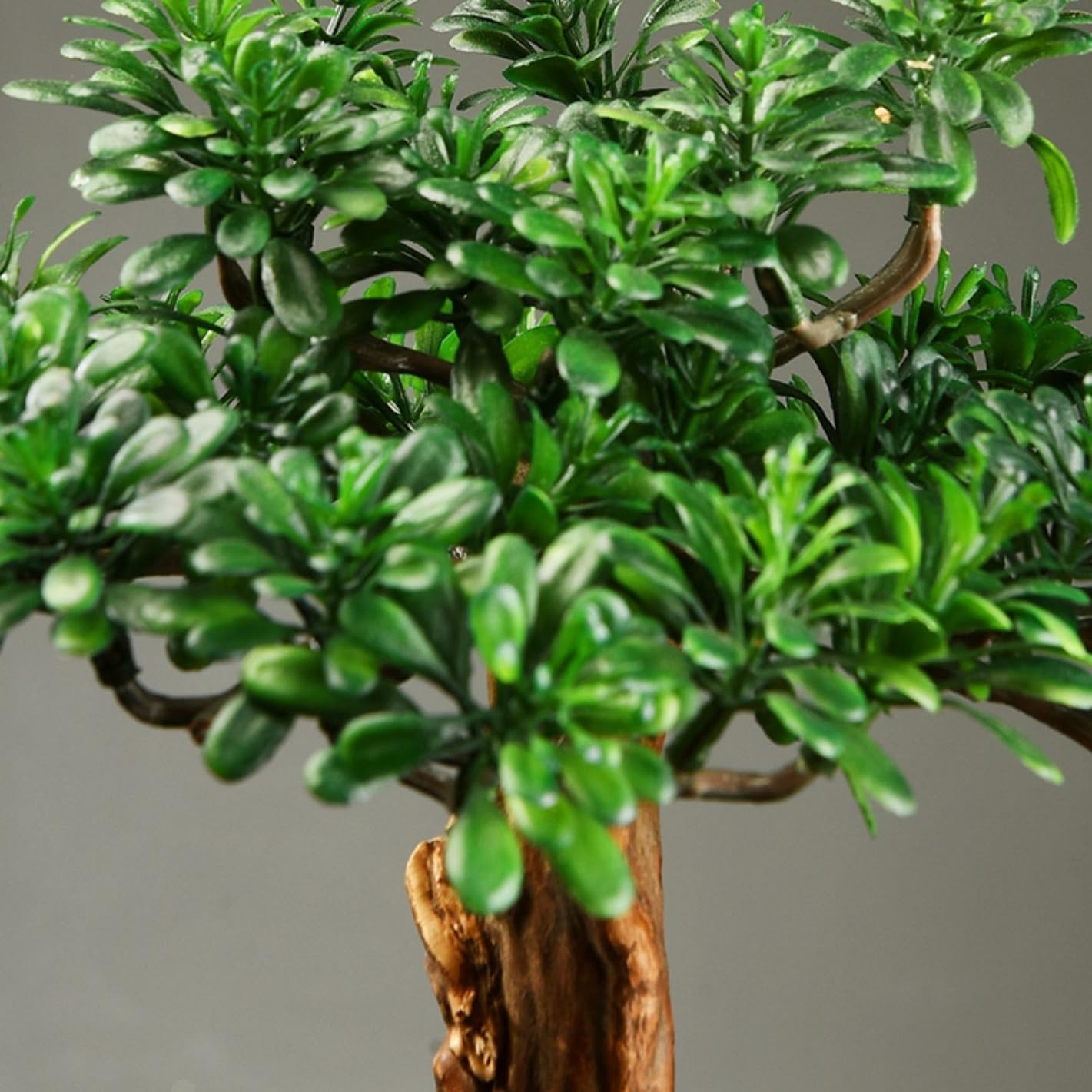 Sztuczne rośliny Sztuczne drzewko bonsai z ceramiczną doniczką, dekoracyjna sztuczna roślina sosnowa do salonu, biura, terum