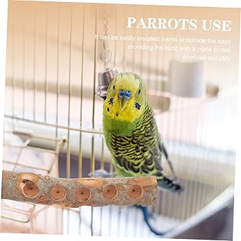 Amazon | PEPLAYTAL インコ7 7おもちゃ7鳥7おもちゃ7用7インコ7止まり