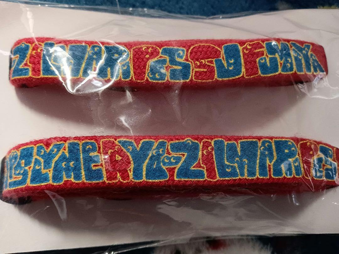 レア 非売品 RIP SLYME リップスライム サングラス ケース付き グッズ レア 非売品 RIP SLYME リップスライム サングラス ケース付き