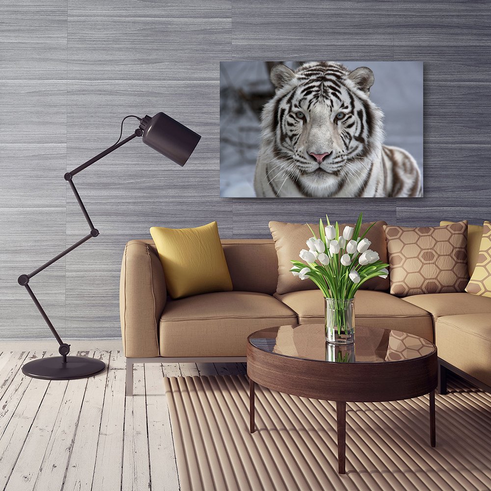 Feeby Cuadro En Lienzo Tigre 100x70 cm 1 Pieza Modernos Impresión Artística Calidad Fotografica Imagen Decoración de Pared Salon Dormitorio Cocina Oficina Pasillo Blanco Negro