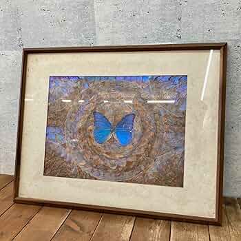 Amazon.co.jp: アンティーク モルフォ蝶 羽絵額 標本 絵画 額縁