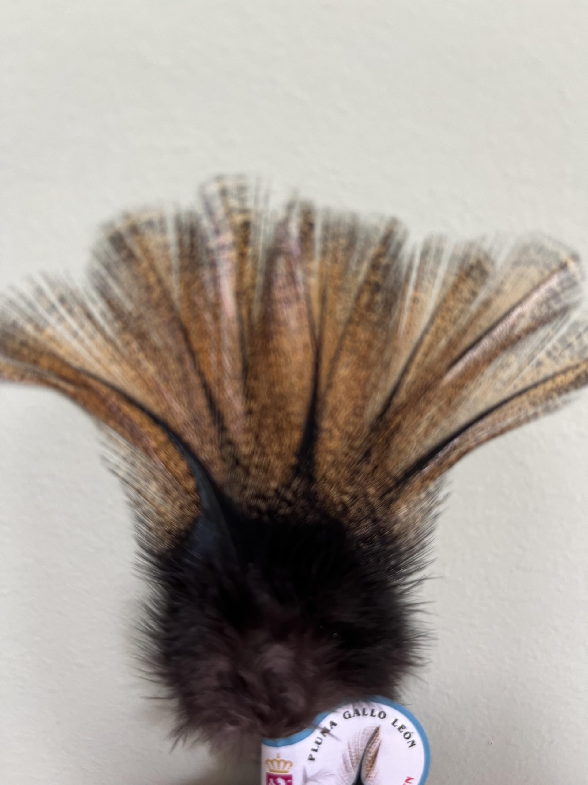 Genérico Pluma Gallo Leon/Lion Rooster Feather
